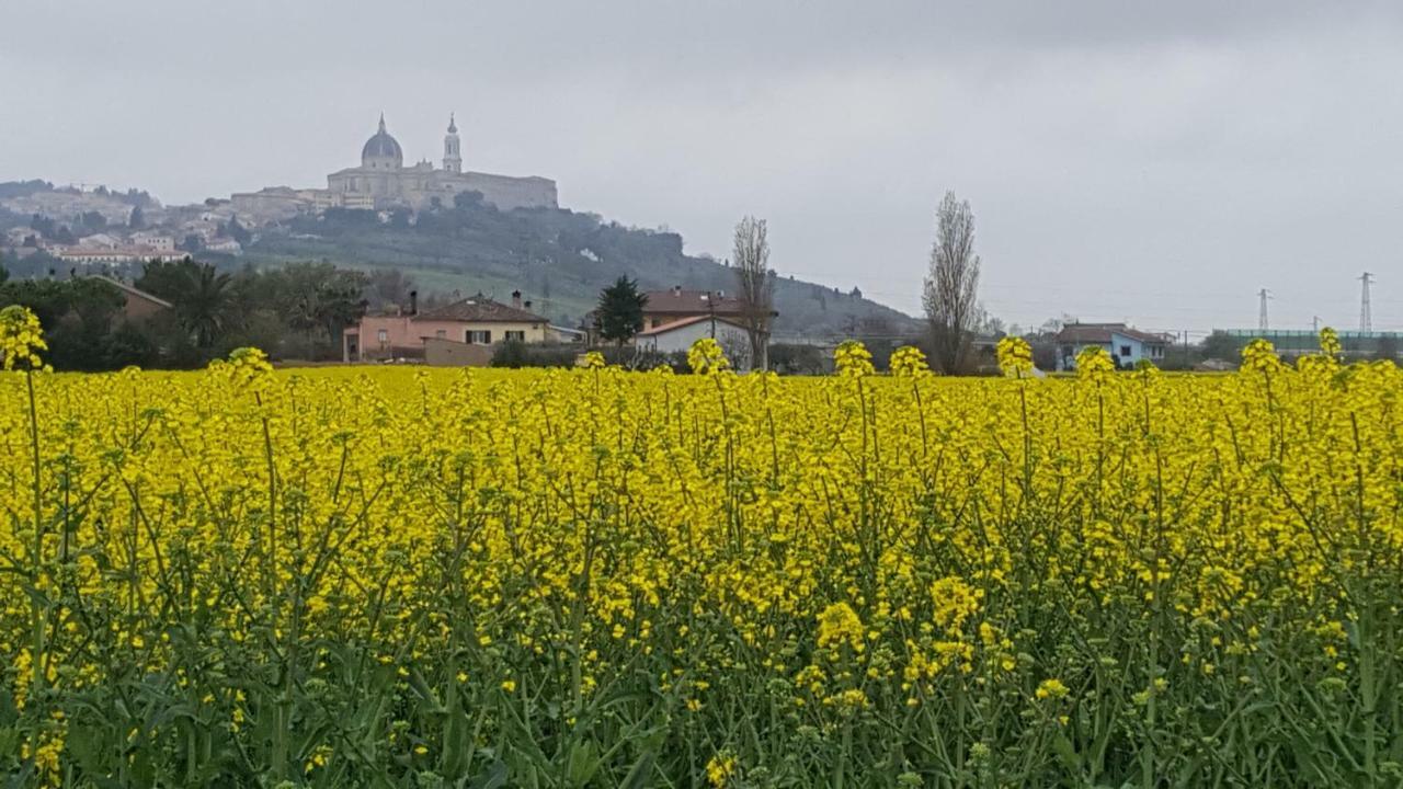 Villetta Del Conero Porto Recanati Eksteriør bilde